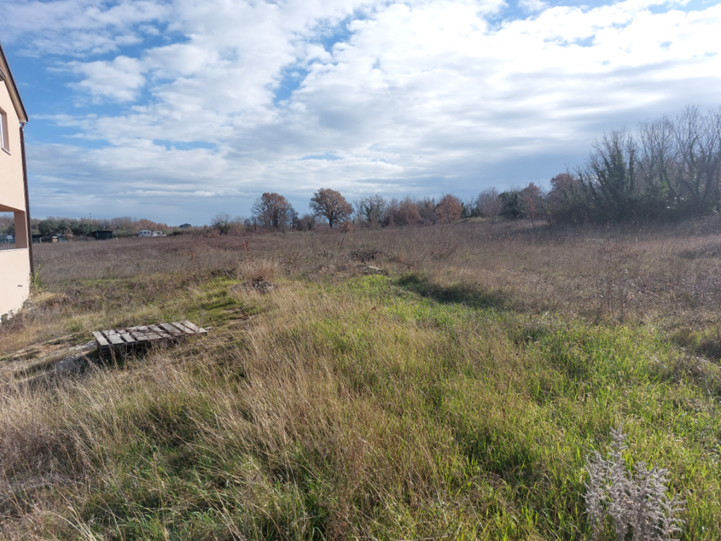 Image 6221019 - 2