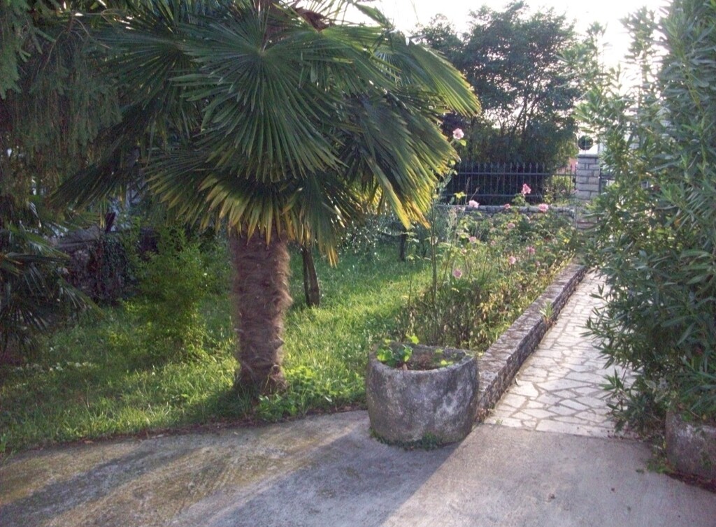 Image 6221024 - 22