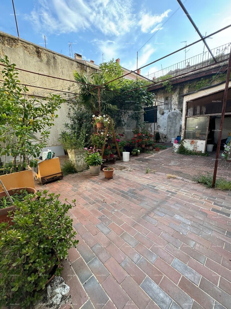 Image 6221048 - 3