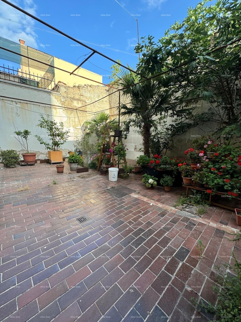 Image 6221048 - 4