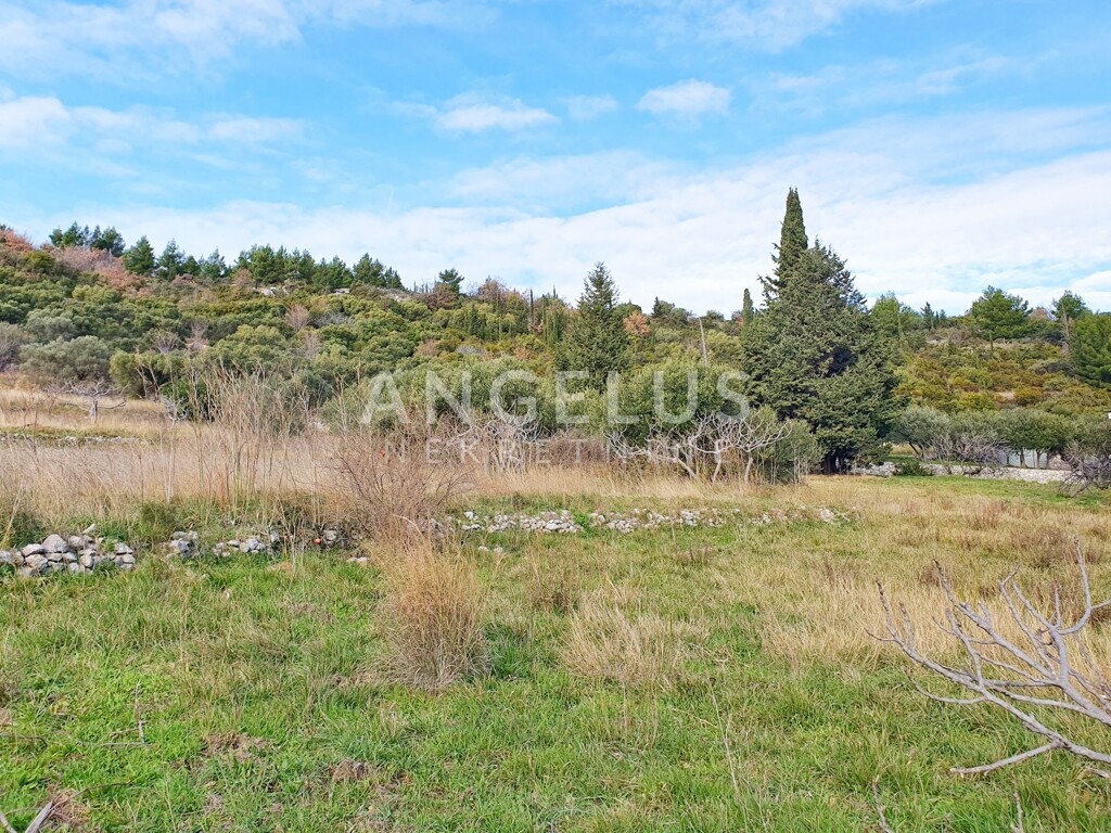 Image 6221069 - 5