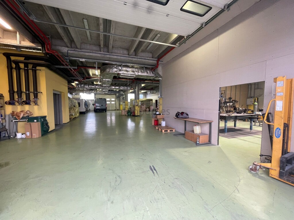 Image 6221075 - 15