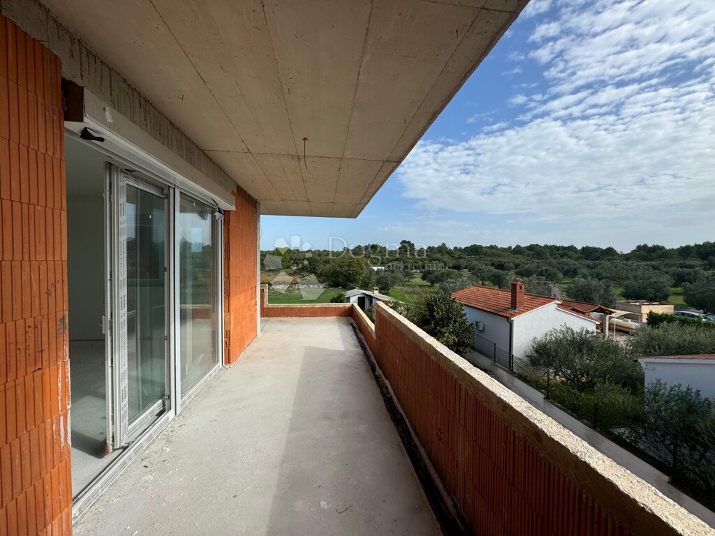Image 6221274 - 3