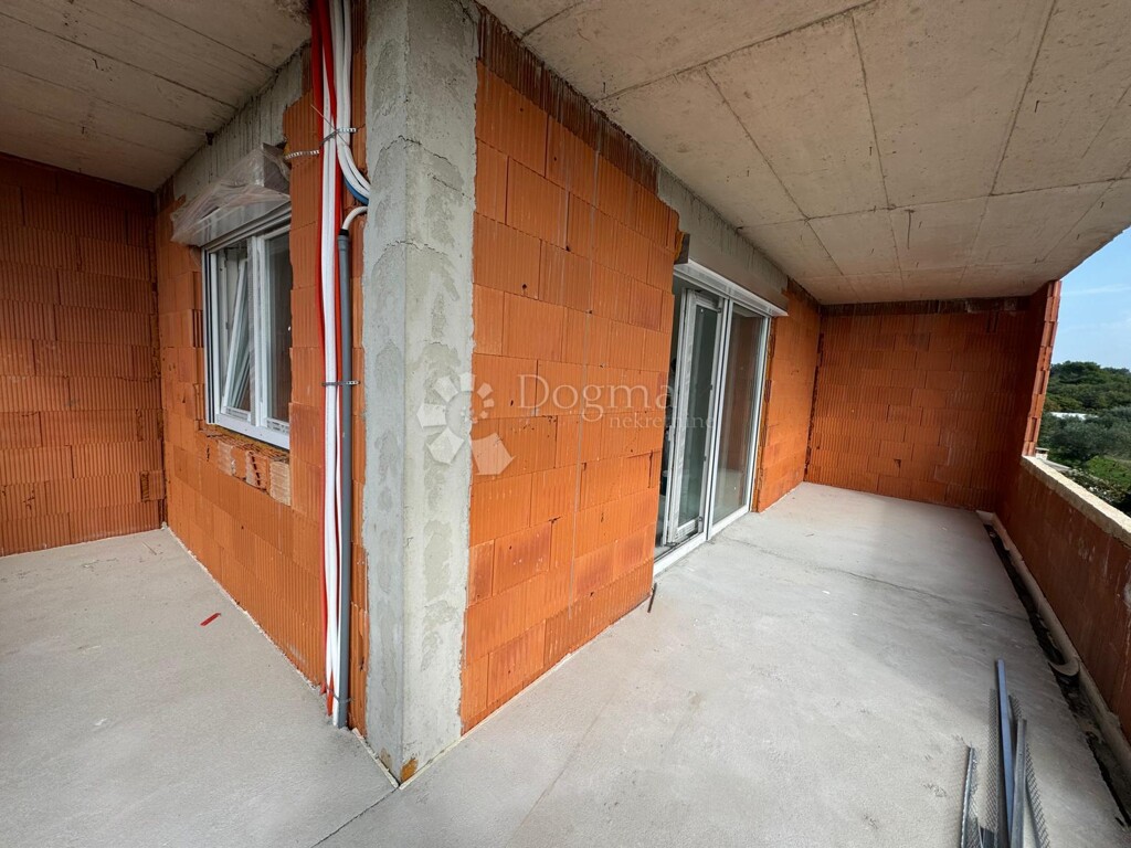 Image 6221274 - 2