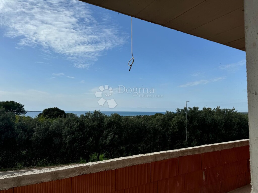 Image 6221276 - 1