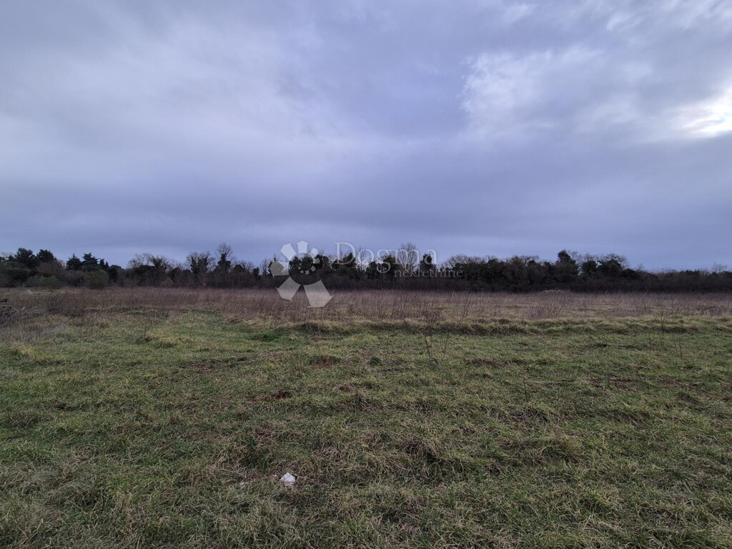 Image 6221281 - 2