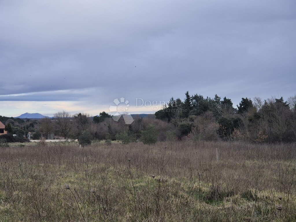 Image 6221281 - 1