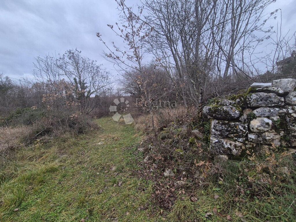 Image 6221283 - 4