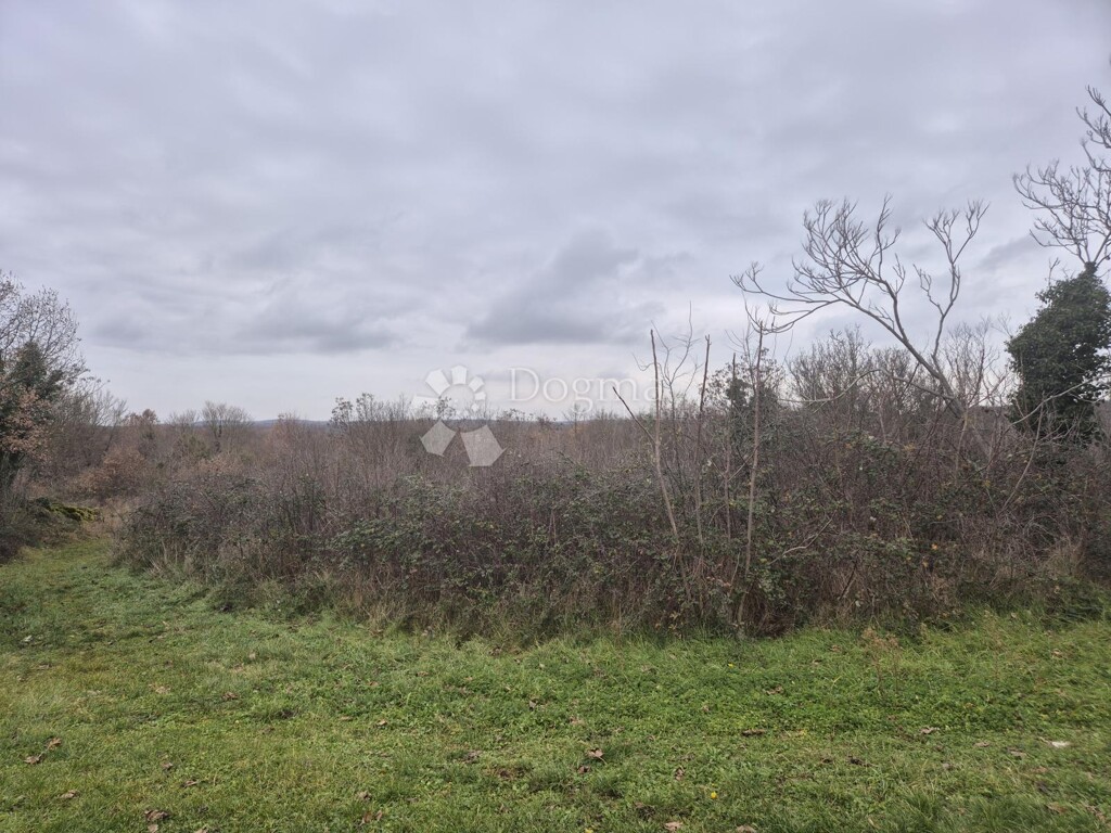 Image 6221283 - 3