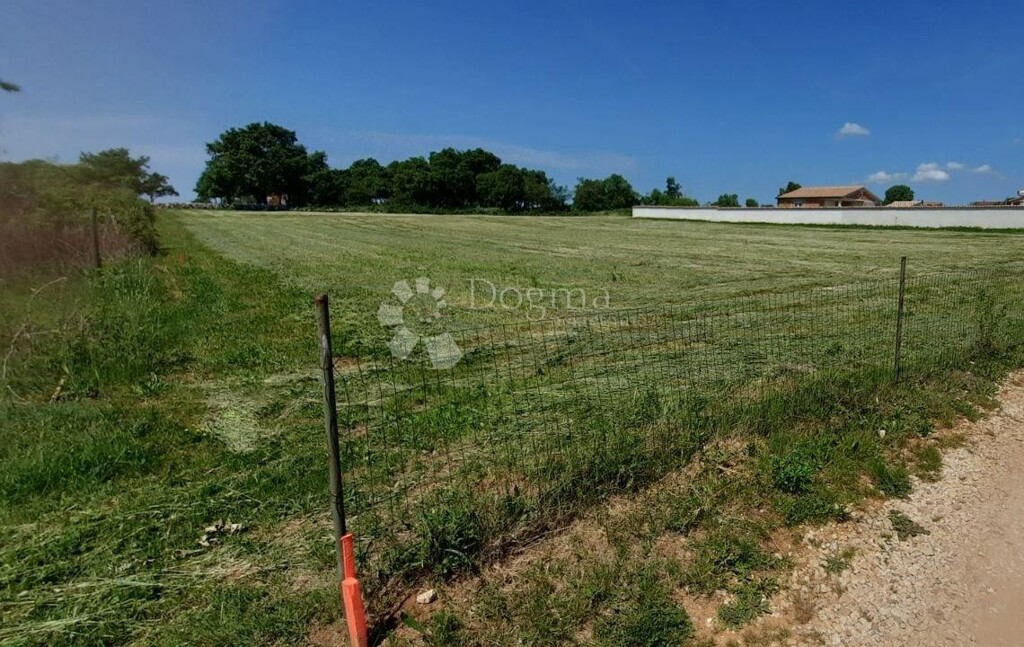 Image 6221292 - 2