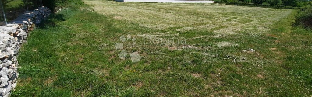 Image 6221292 - 7