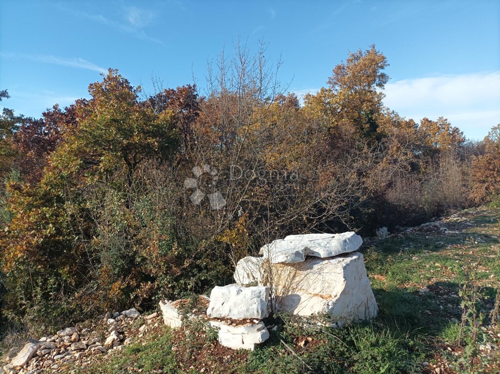 Image 6221297 - 2