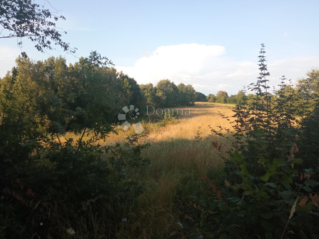 Image 6221299 - 3