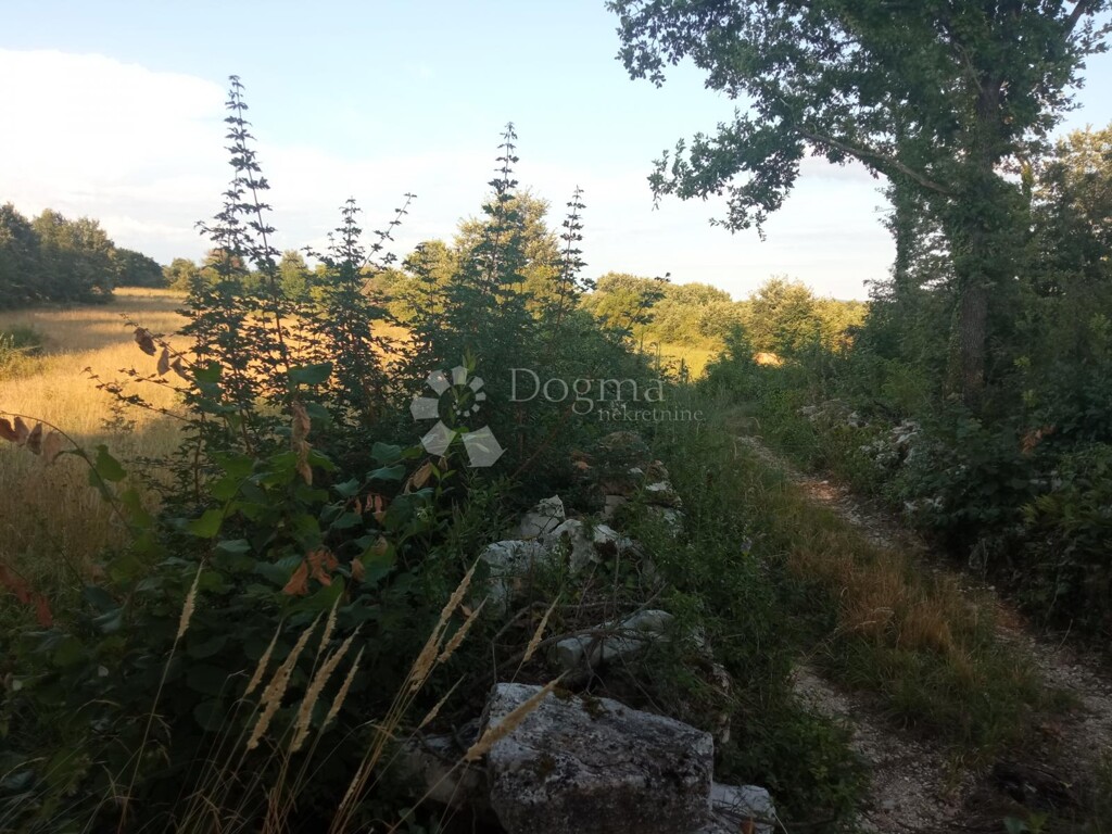 Image 6221299 - 4