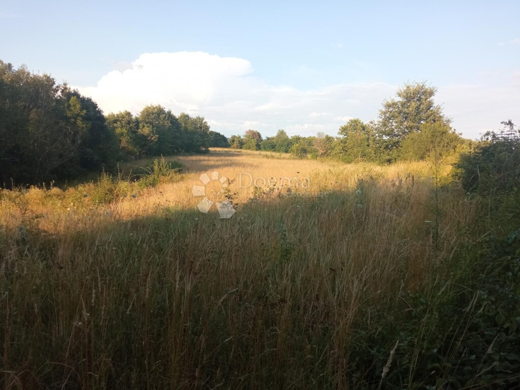 Image 6221299 - 1