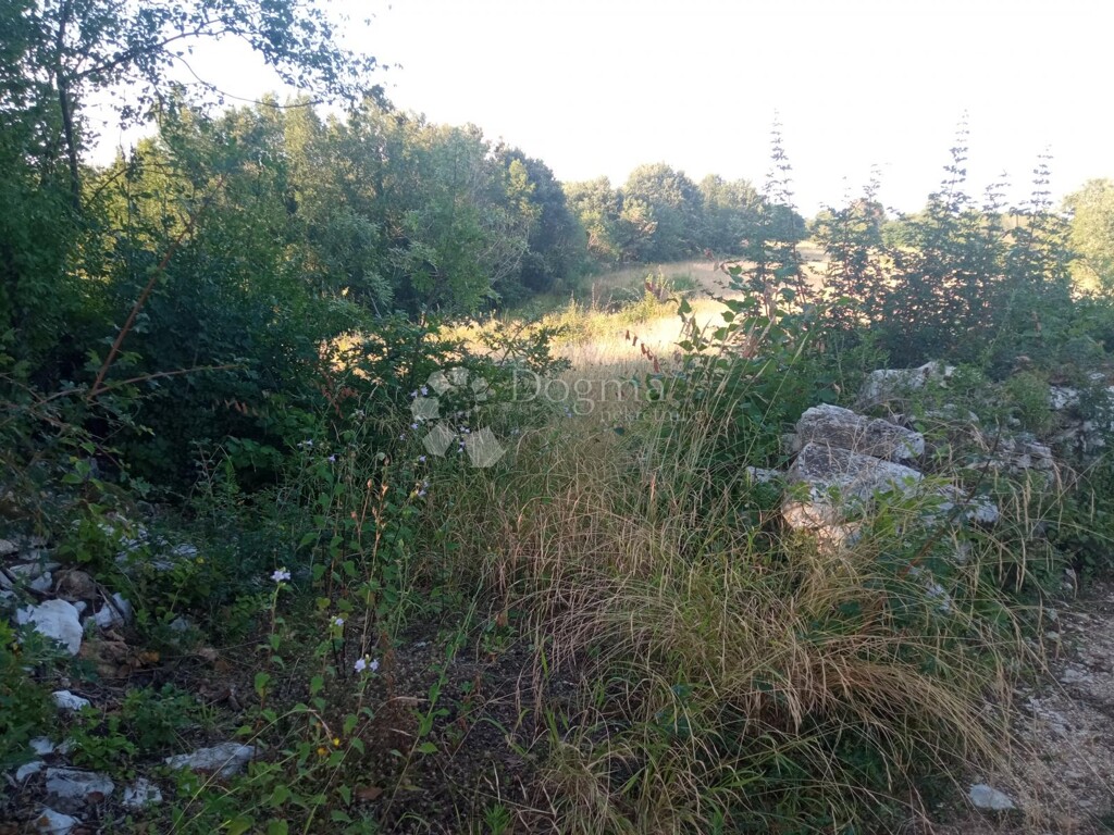 Image 6221299 - 6