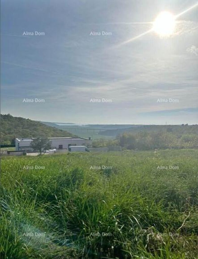 Image 6221367 - 1