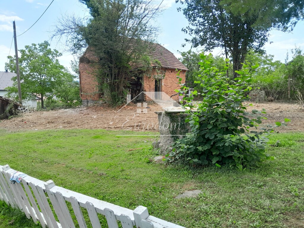 Image 6221623 - 1
