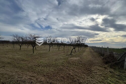 Thumbnail 6221697 - 3