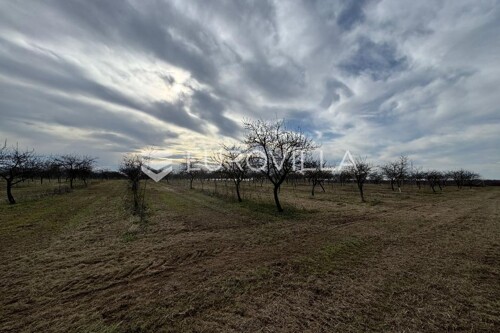 Thumbnail 6221697 - 6