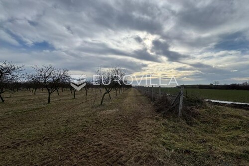 Thumbnail 6221697 - 7