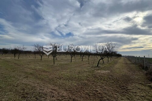 Thumbnail 6221697 - 5