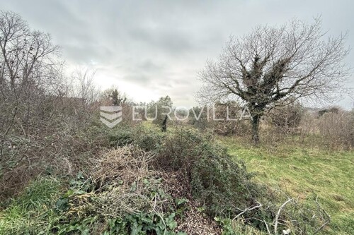 Thumbnail 6221698 - 2