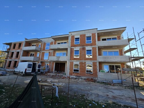 Thumbnail 6221850 - 5