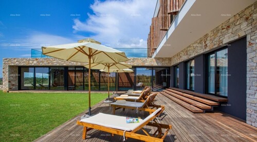 Thumbnail 6221854 - 15