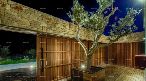 Thumbnail 6221854 - 14