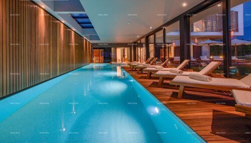 Thumbnail 6221854 - 13