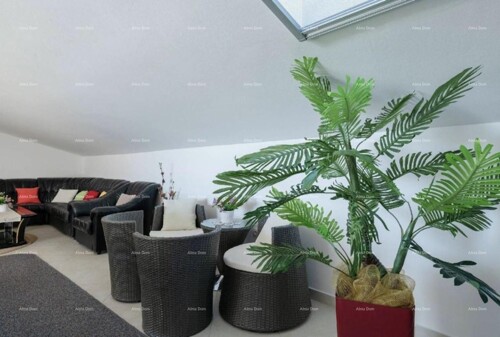 Thumbnail 6221863 - 11