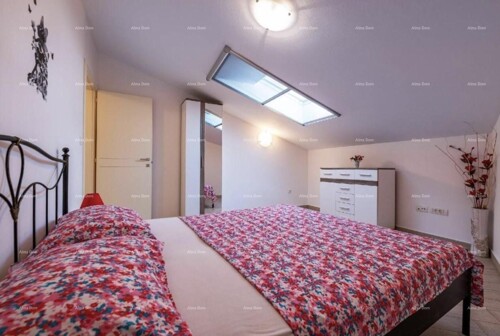 Thumbnail 6221863 - 5