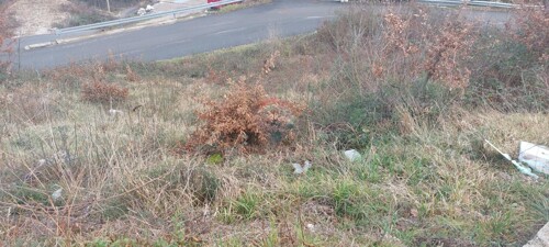 Thumbnail 6222010 - 8