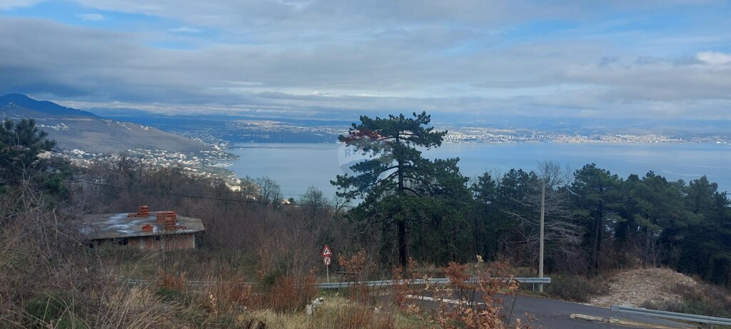 Image 6222010 - 2