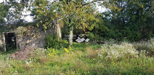 Thumbnail 6222028 - 5