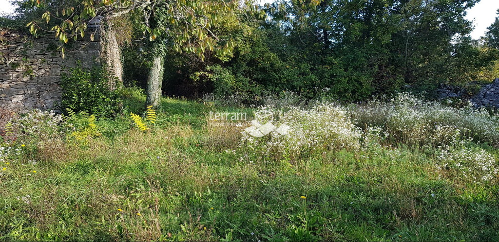 Image 6222028 - 4