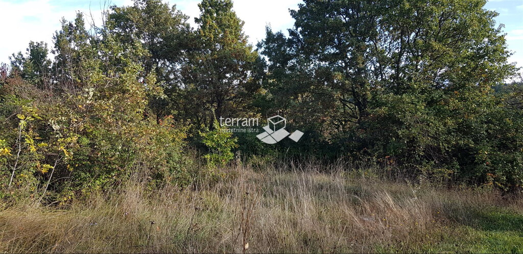 Image 6222028 - 8