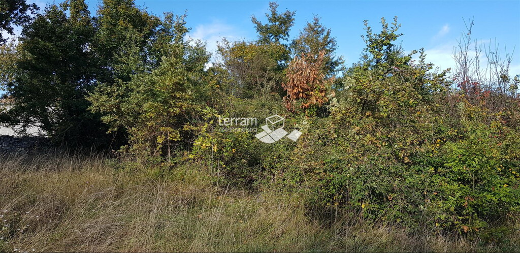 Image 6222028 - 9
