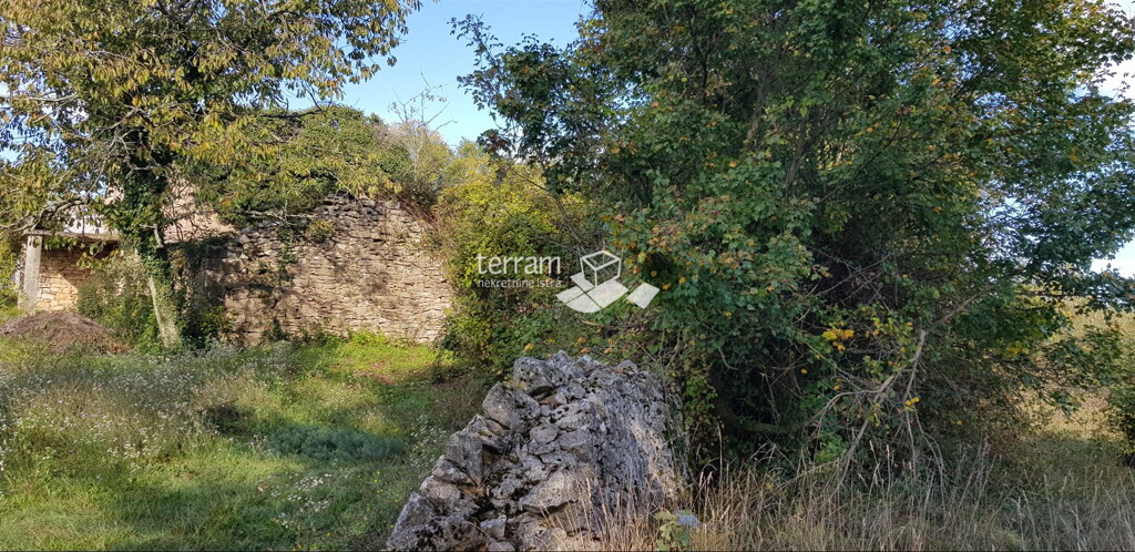 Image 6222028 - 7