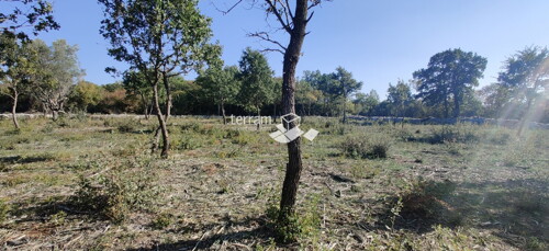 Thumbnail 6222032 - 2