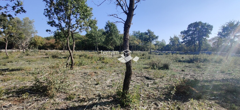 Image 6222032 - 2
