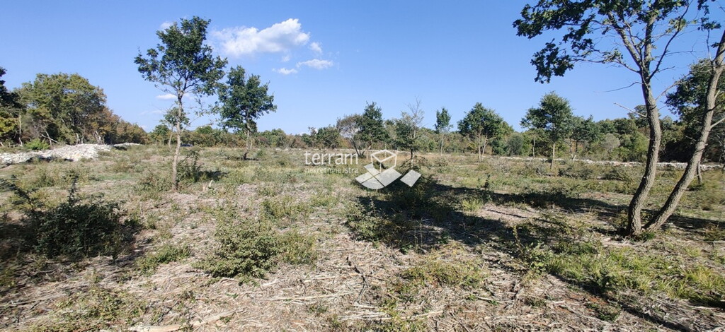 Image 6222032 - 1