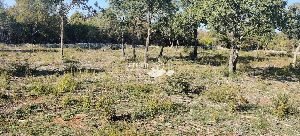 Image 6222032 - 3