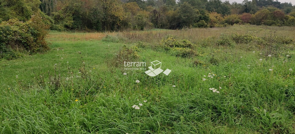 Image 6222034 - 4