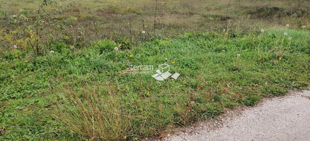 Image 6222034 - 5