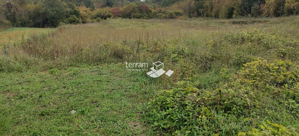 Image 6222034 - 3