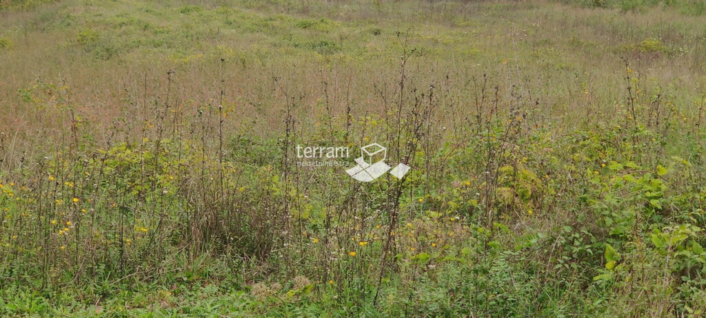 Image 6222034 - 1