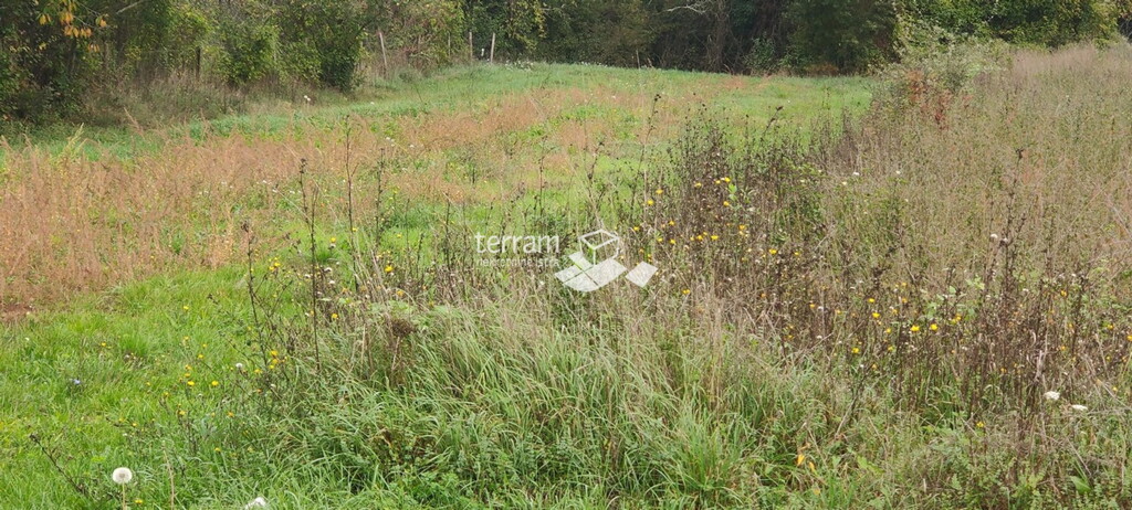Image 6222034 - 2
