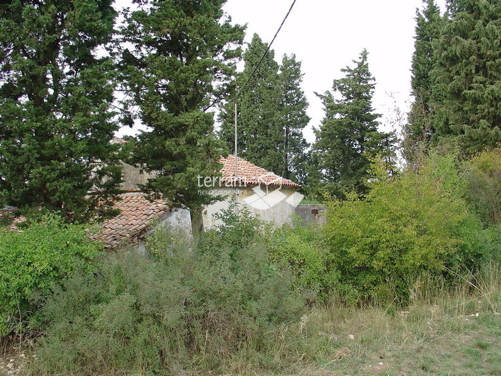 Image 6222036 - 9